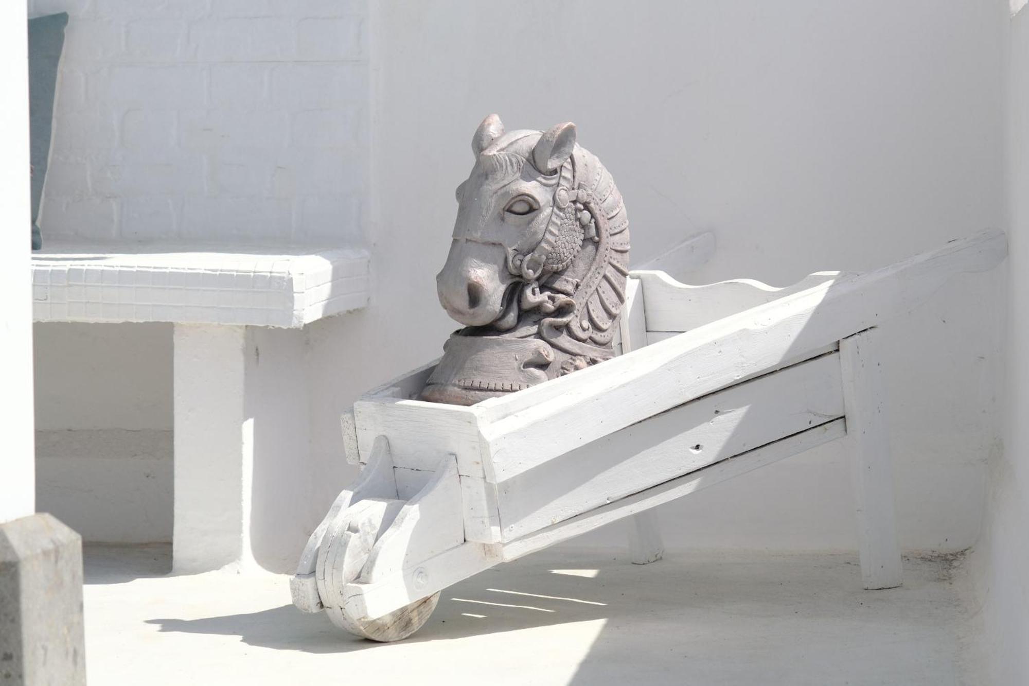 Rooftop Dreamhouse - 3Br With Seaviews 산타크루즈데라팔마 외부 사진