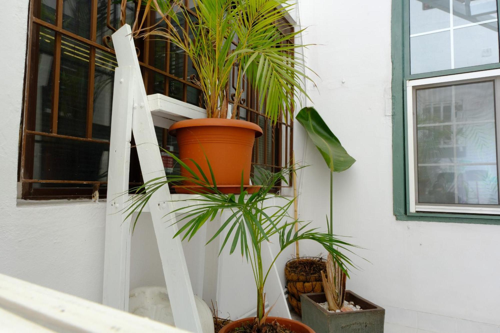 Rooftop Dreamhouse - 3Br With Seaviews 산타크루즈데라팔마 외부 사진