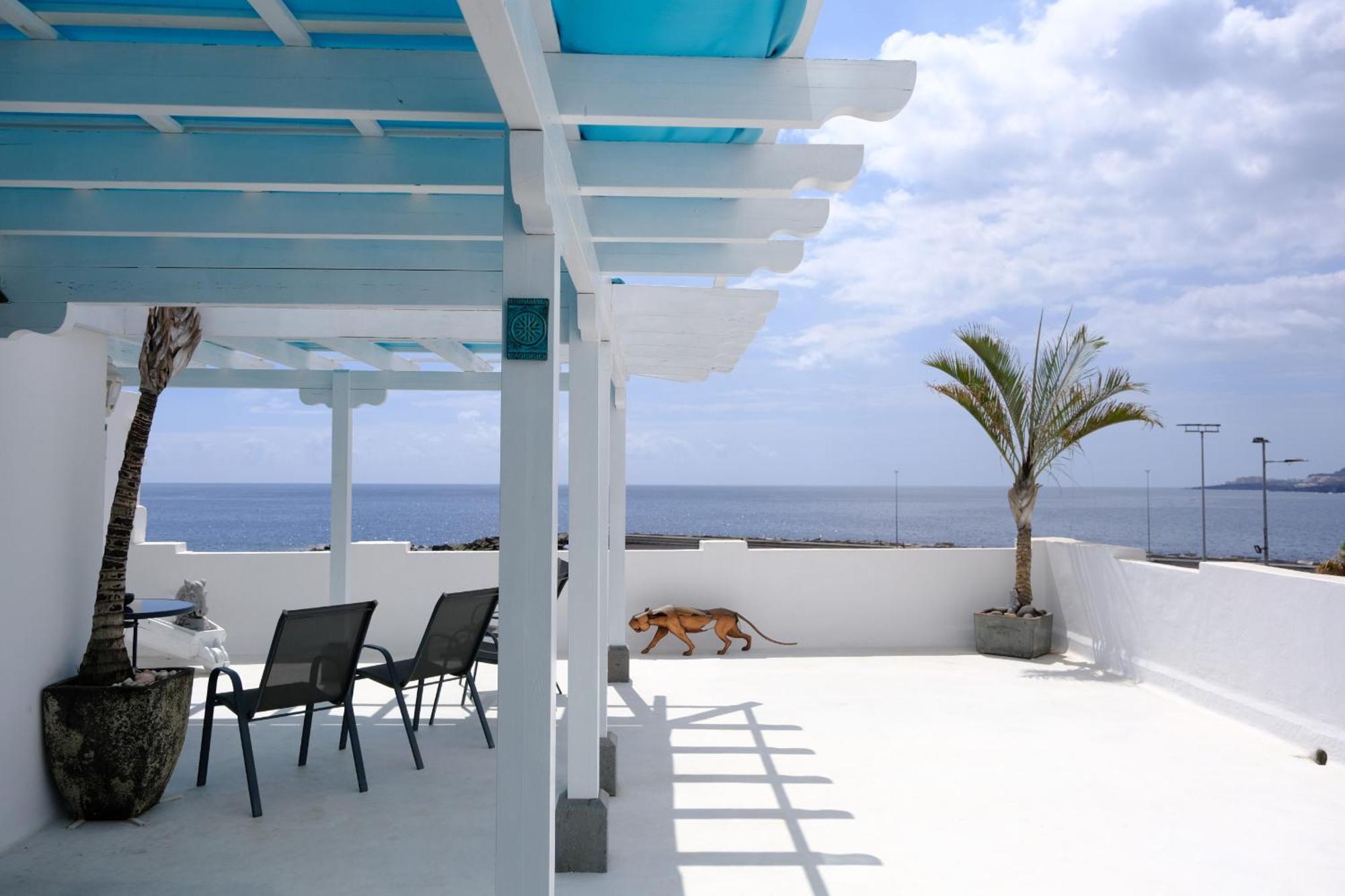 Rooftop Dreamhouse - 3Br With Seaviews 산타크루즈데라팔마 외부 사진